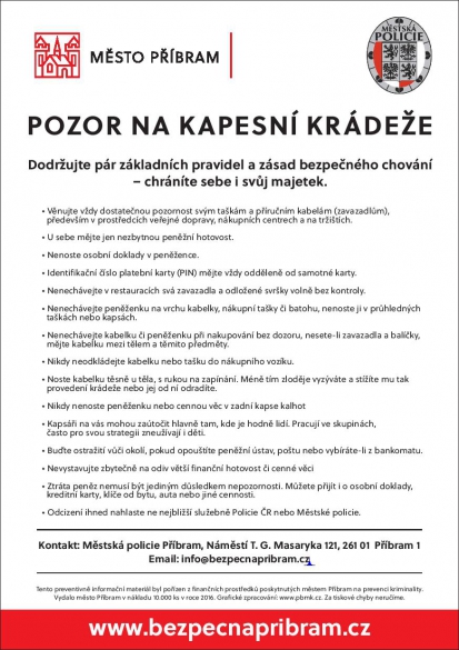 Kapesní krádeže