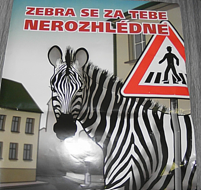 Zebra se za tebe nerozhlédne